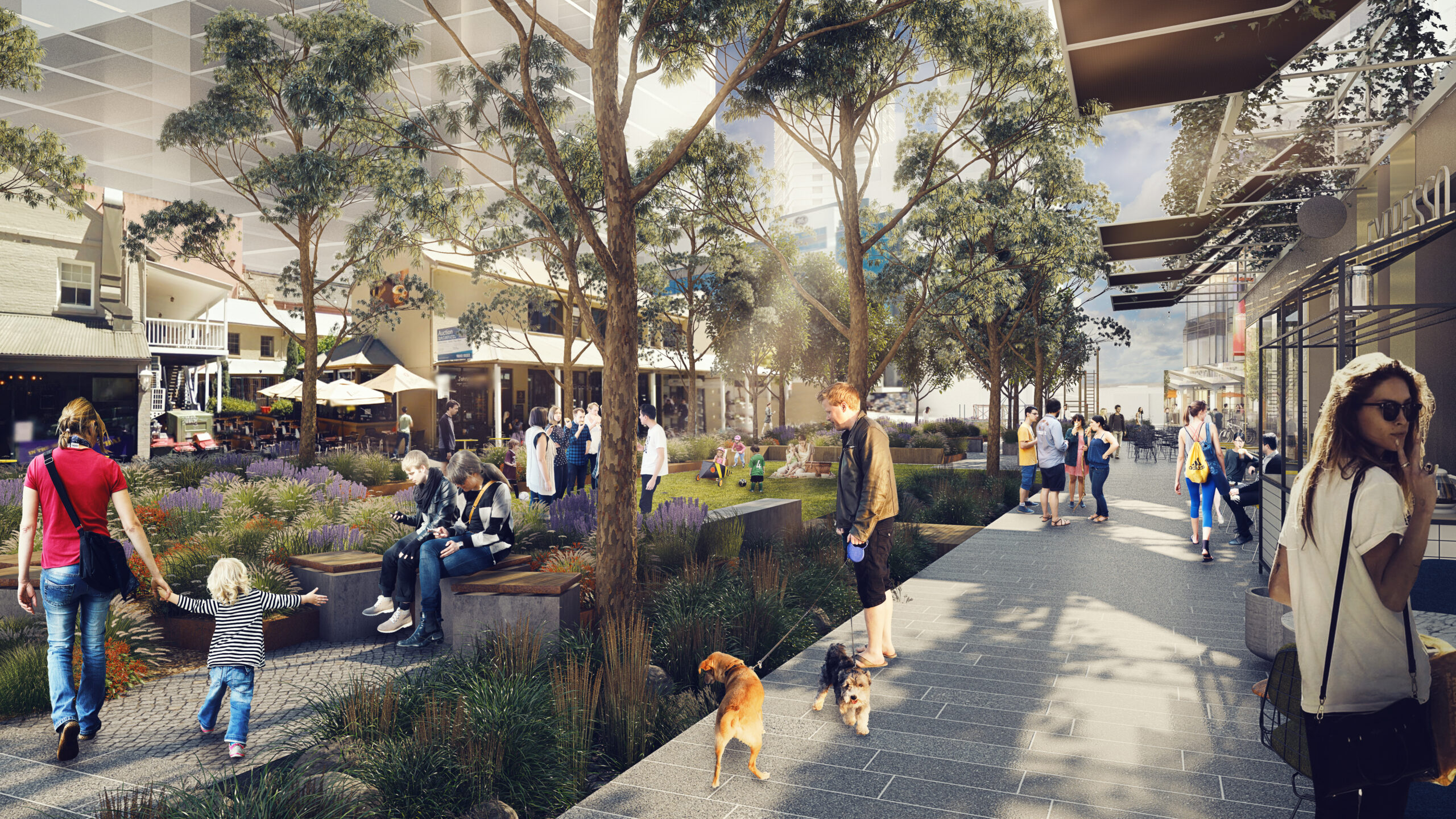 Parramatta Civic Link Sjb